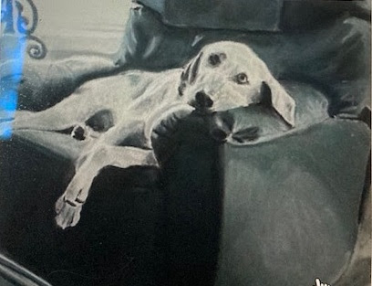 dog on dad's chair