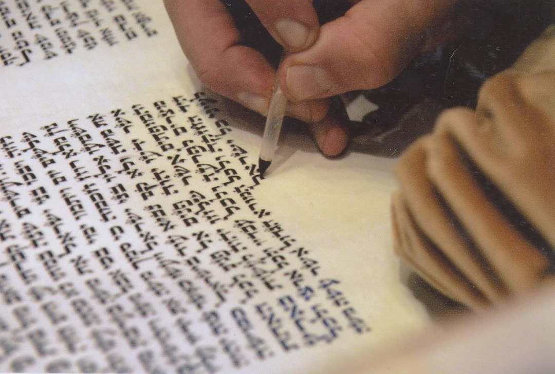 Torah scribe