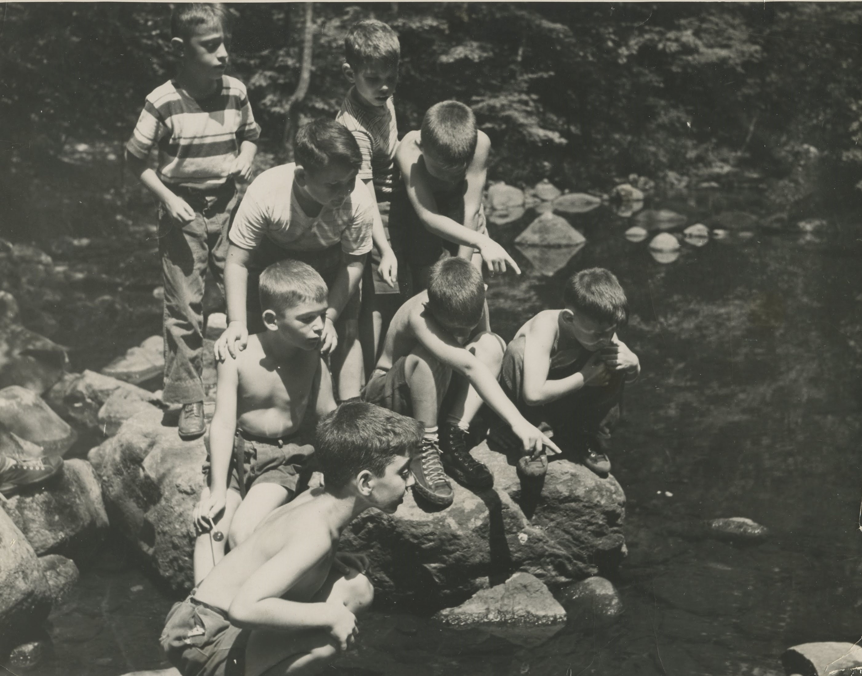 YMHA Camp Vacation, Paterson NJ, Matt Harelick Collection, boys examining underwater life