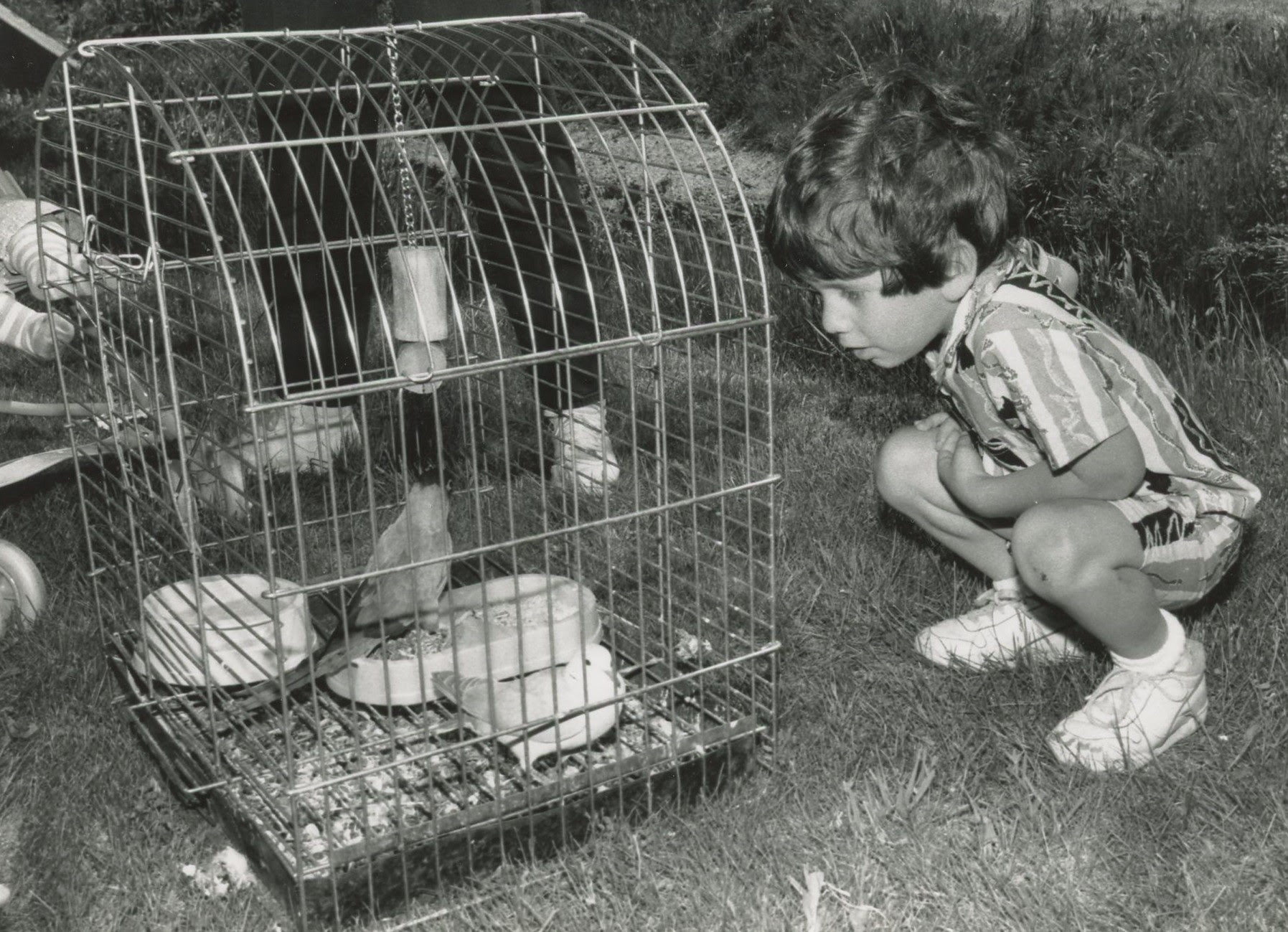 Northern New Jersey, boy, caged bird, Pet Day