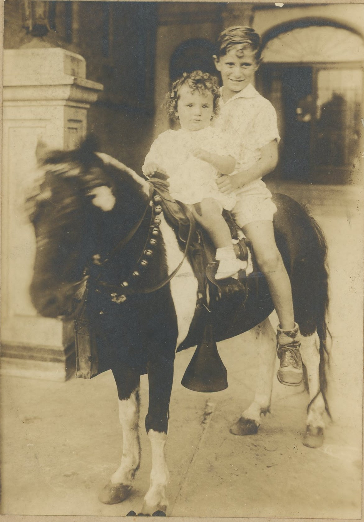 Allan & Shelly Katz