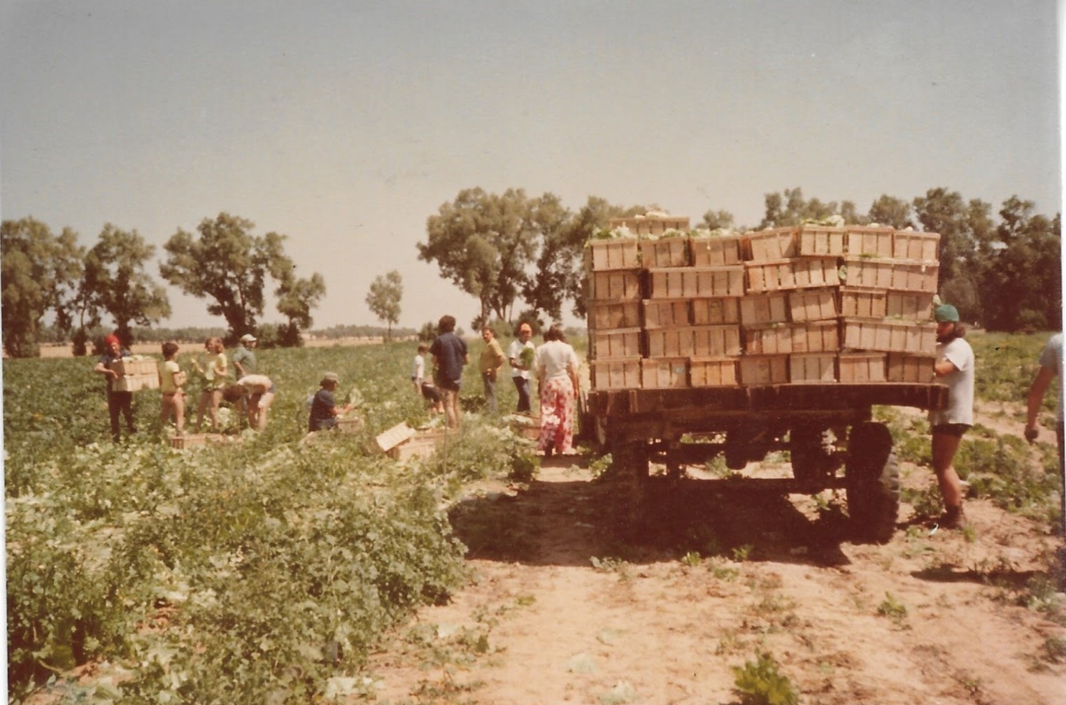 Nir Yitzhak Kibbutz, Israel, Gaza Strip, October 7, 2023