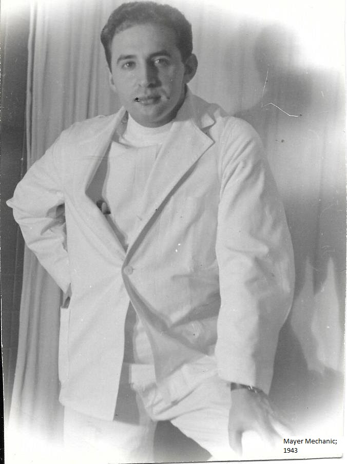 Mayer Mechanic