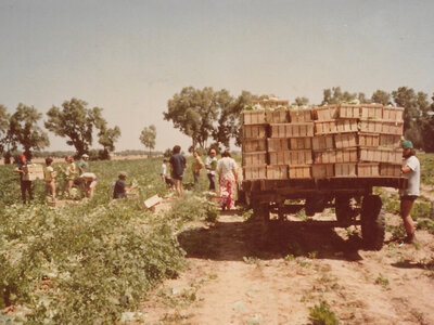 Nir Yitzhak Kibbutz, Israel, Gaza Strip, October 7, 2023